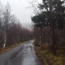 Приглашаю прогуляться по Заполярью :) 09.10.2021