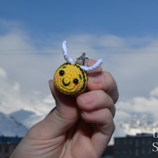 Шмель Федя. Брелок + несколько фотографий нашего города