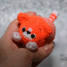 Солнечный котейка