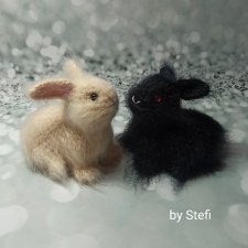 Новые кролики