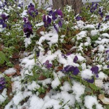 30 сентября 2022. Город Кировск. Прогуляемся?