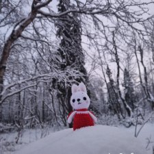 Вот кого встретили сегодня в лесу. Потерялся