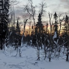 Приглашаю прогуляться 7 января 2023  Кировск, Мурманская область