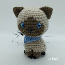 Симский котик. И наш кот Сеня немного позирует