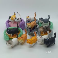 Покажу настоящую кошачью банду!