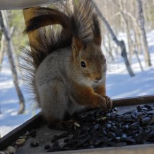 Прогуляемся? 28 апреля