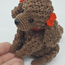 Пуделëк. Грустит из-за тучек и дождика