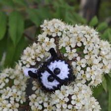 Путешествие Жужи