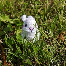 Кролики на прогулке