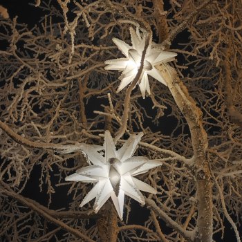 Окунёмся в зиму?