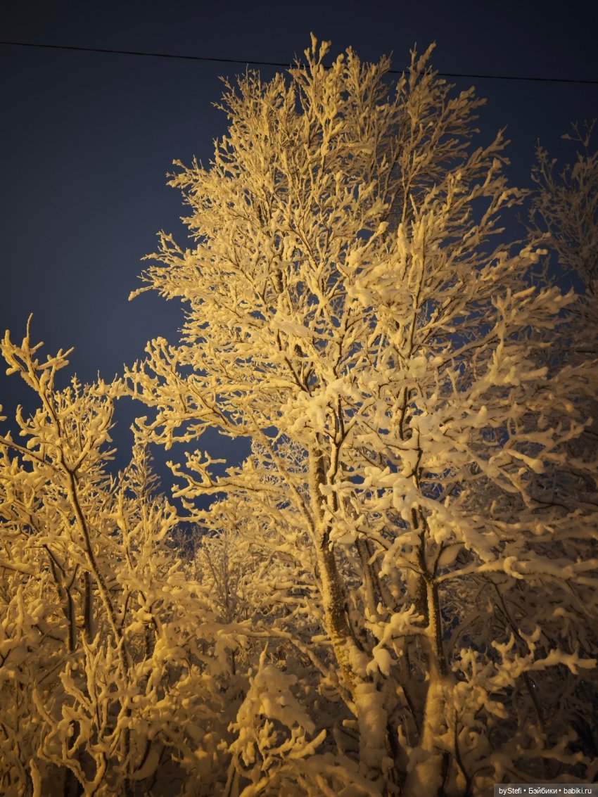 Ещё немного зимней сказки