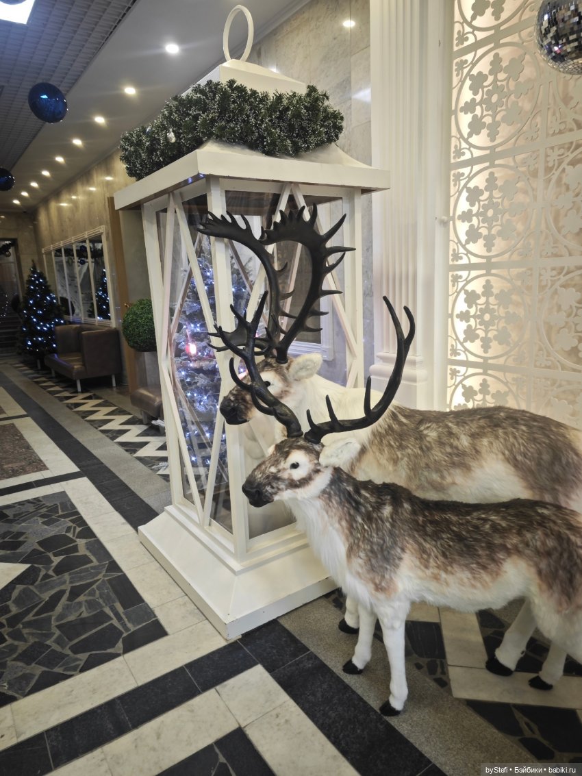 Ещё немного зимней сказки (фото 9)