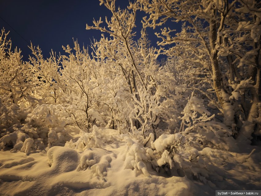 Ещё немного зимней сказки (фото 4)