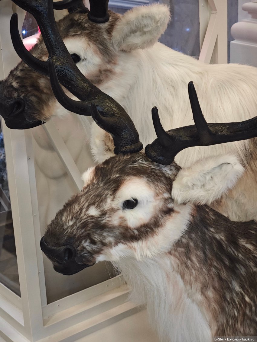 Ещё немного зимней сказки (фото 6)