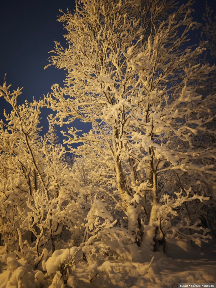 Ещё немного зимней сказки (фото 2)