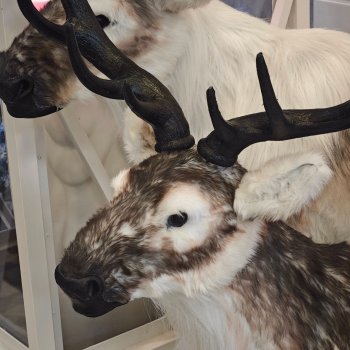 Ещё немного зимней сказки