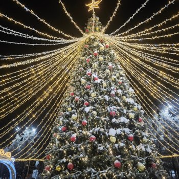 Ёлочка. Апатиты, Мурманская область