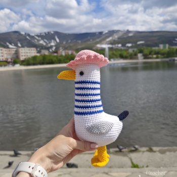 Получился у меня какой-то день чаек