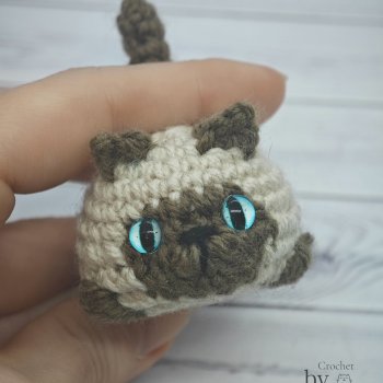 Сиамский кот