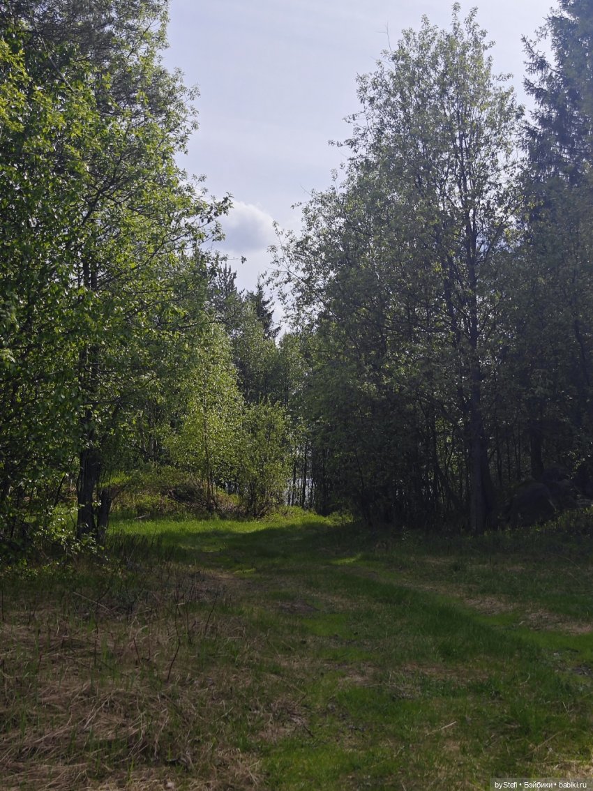 Не желаете прогуляться? Поделюсь северной природой (фото 2)