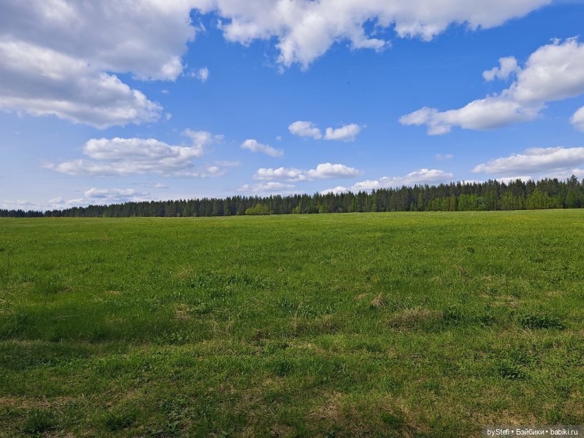 Не желаете прогуляться? Поделюсь северной природой (фото 9)