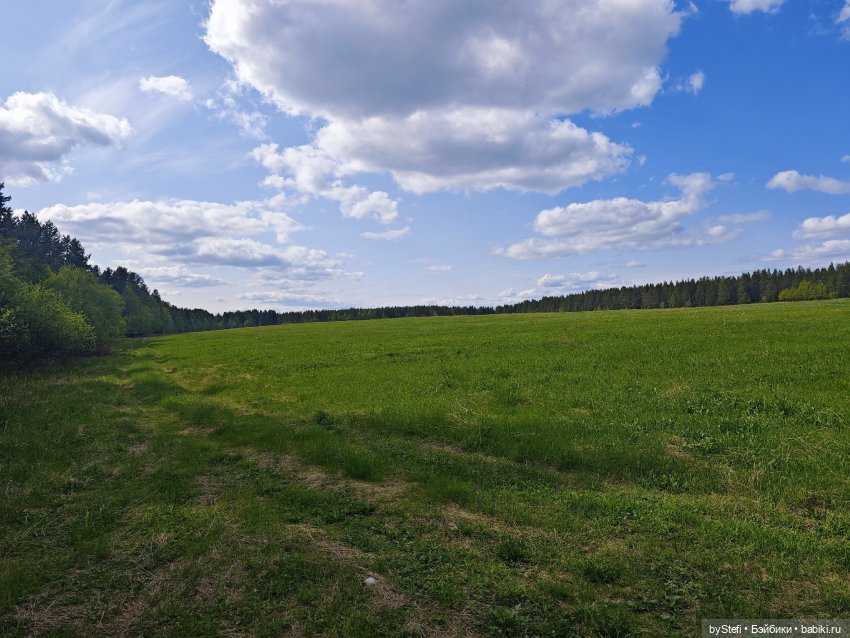 Не желаете прогуляться? Поделюсь северной природой (фото 6)