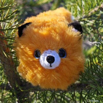 Пушистый лисик на прогулке