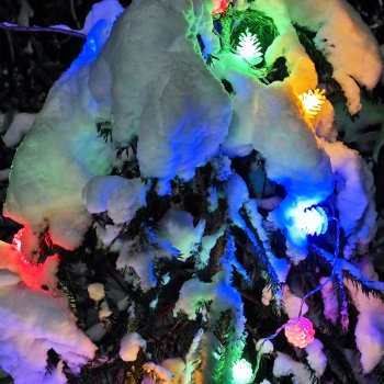 Теперь поделюсь новогодним настроением