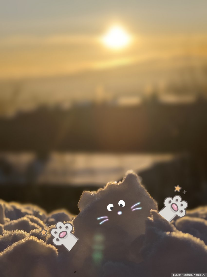 Путешествие медвежонка — Туризм и путешествия: фотоотчеты из поездок