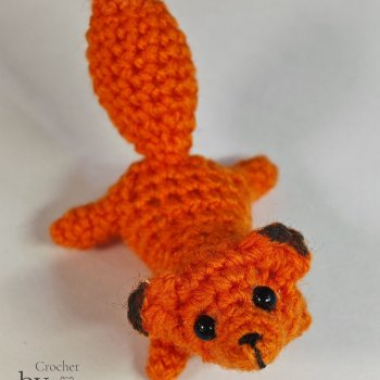 Покажу нового лисика и закат