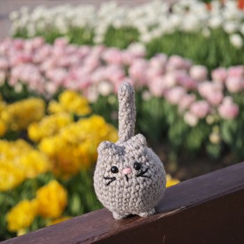 Котофейчик