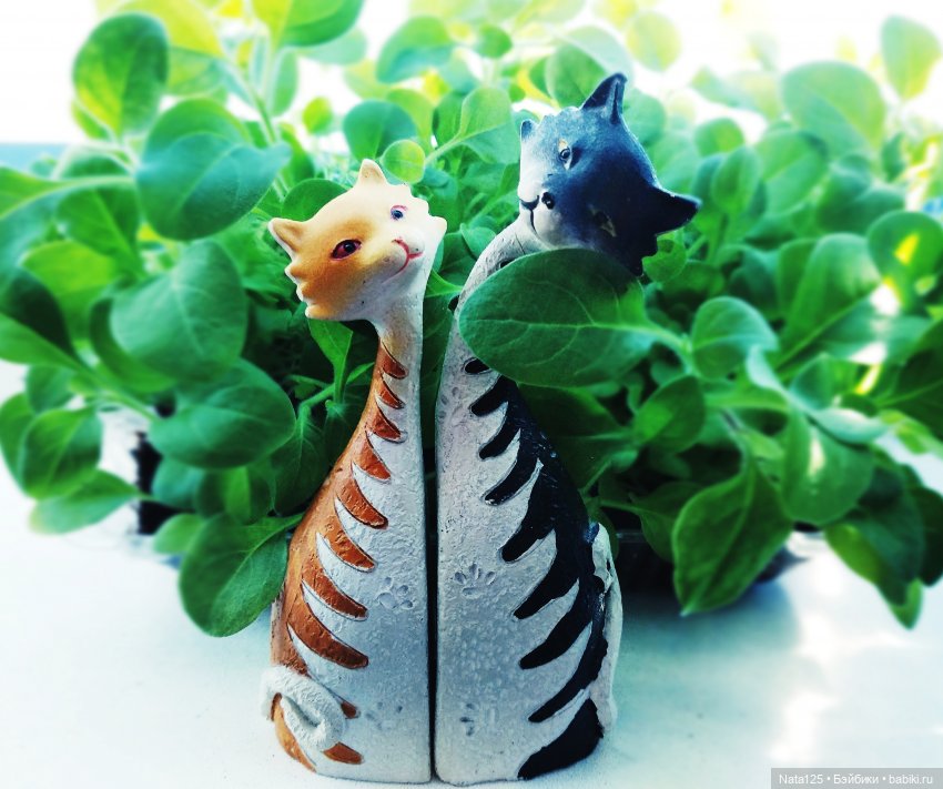 Мы - одно целое. Постконкурс