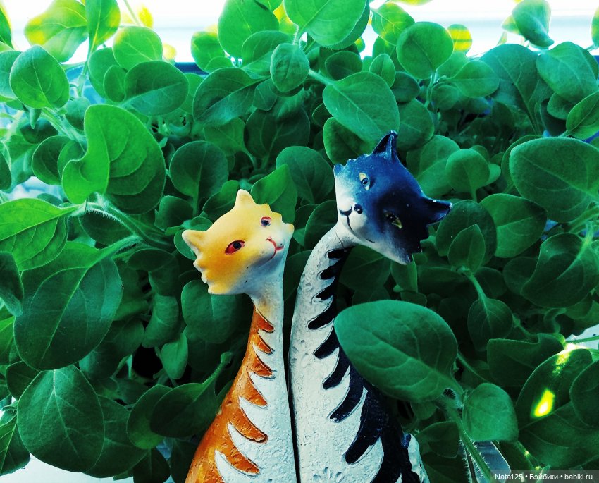 Мы - одно целое. Постконкурс (фото 2)