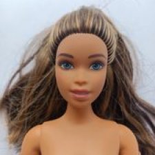 Гибрид Барби учёной на йоге танцовщице