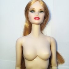 Гибрид Erin Salston