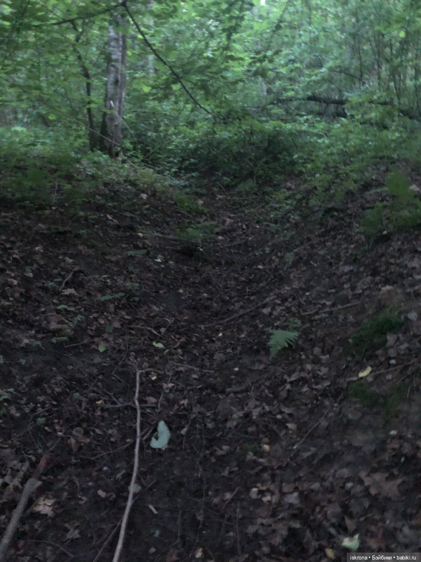 Гори, гори, моя звезда — Куклы Harry Potter (Гарри Поттер) Mattel: Wizarding World