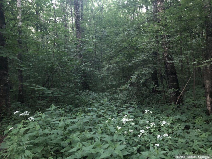 Гори, гори, моя звезда — Куклы Harry Potter (Гарри Поттер) Mattel: Wizarding World