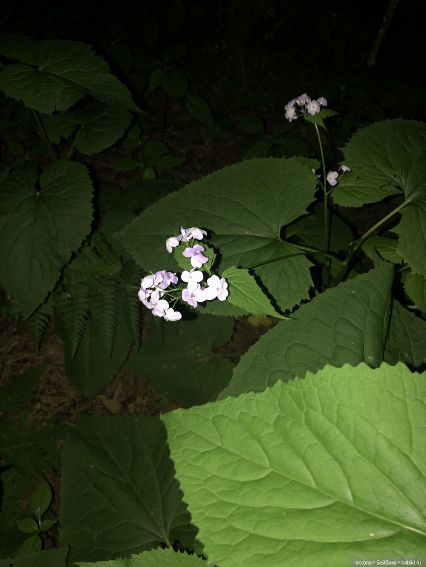 Гори, гори, моя звезда — Куклы Harry Potter (Гарри Поттер) Mattel: Wizarding World