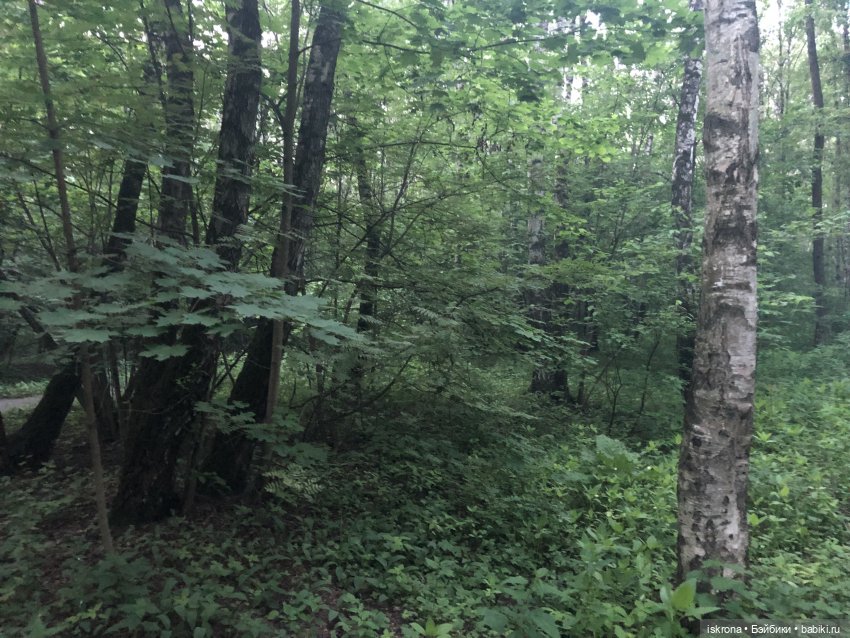 Гори, гори, моя звезда — Куклы Harry Potter (Гарри Поттер) Mattel: Wizarding World