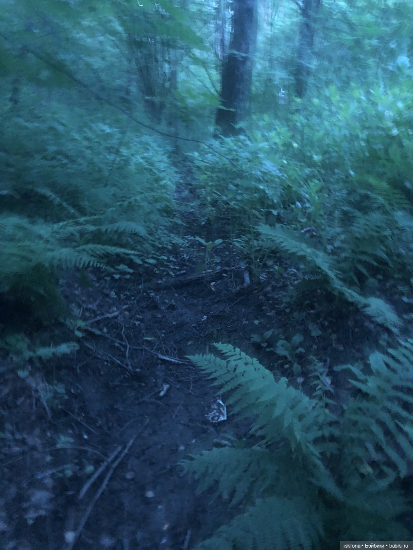 Гори, гори, моя звезда — Куклы Harry Potter (Гарри Поттер) Mattel: Wizarding World