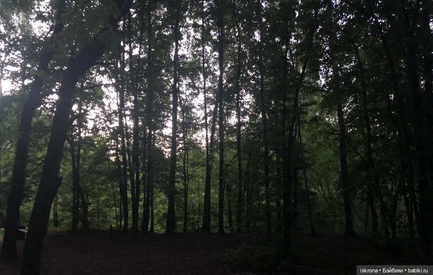 Гори, гори, моя звезда — Куклы Harry Potter (Гарри Поттер) Mattel: Wizarding World