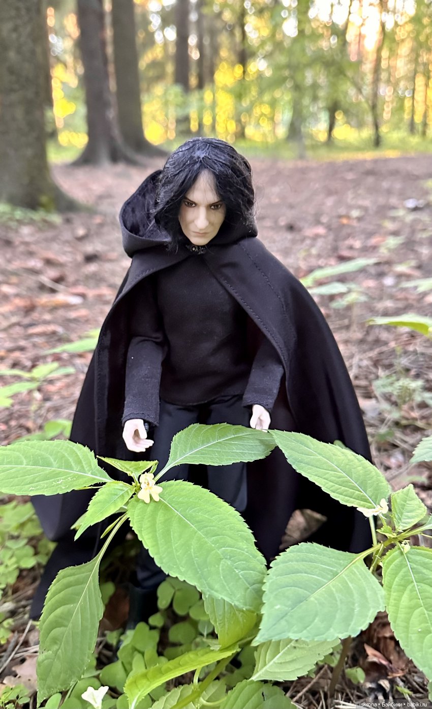 Гори, гори, моя звезда — Куклы Harry Potter (Гарри Поттер) Mattel: Wizarding World