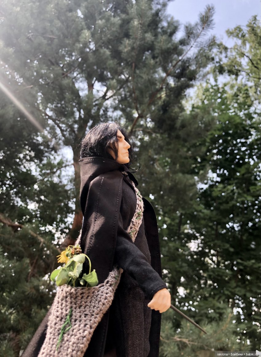 Гори, гори, моя звезда — Куклы Harry Potter (Гарри Поттер) Mattel: Wizarding World