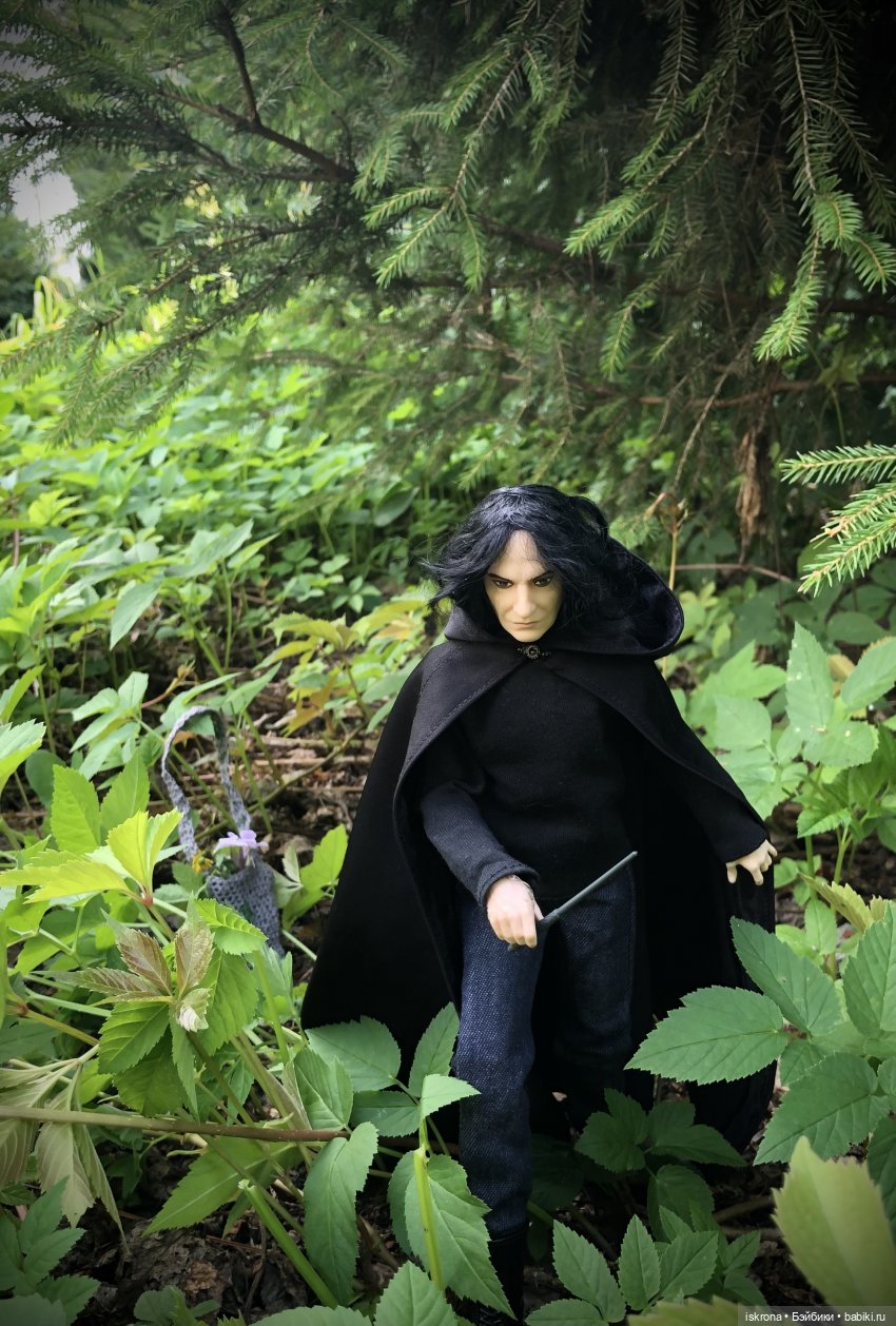 Гори, гори, моя звезда — Куклы Harry Potter (Гарри Поттер) Mattel: Wizarding World