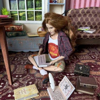 Поттериана у меня дома