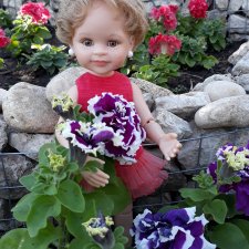 Наши петунии