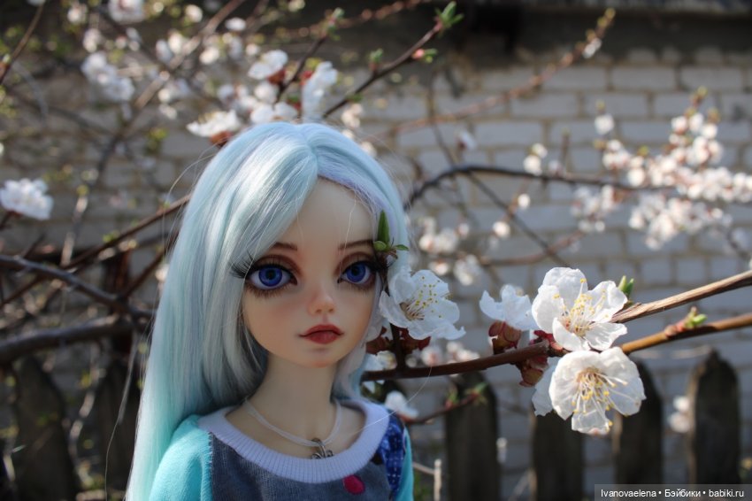 Первая прогулка с моей минифи (фото 2)