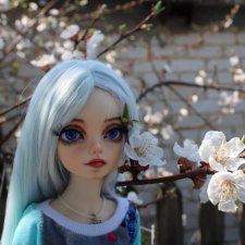 Первая прогулка с моей минифи