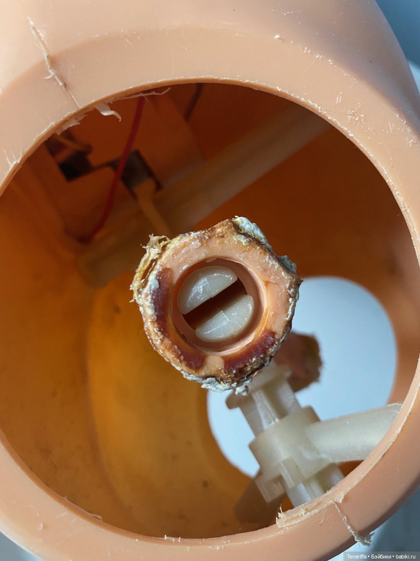 Клятва знаменитой Селии | Бэйбики Клятва знаменитой Селии — Куклы Nancy Famosa (Ненси Фамоза): коллекционные перевыпуски (фото 3)