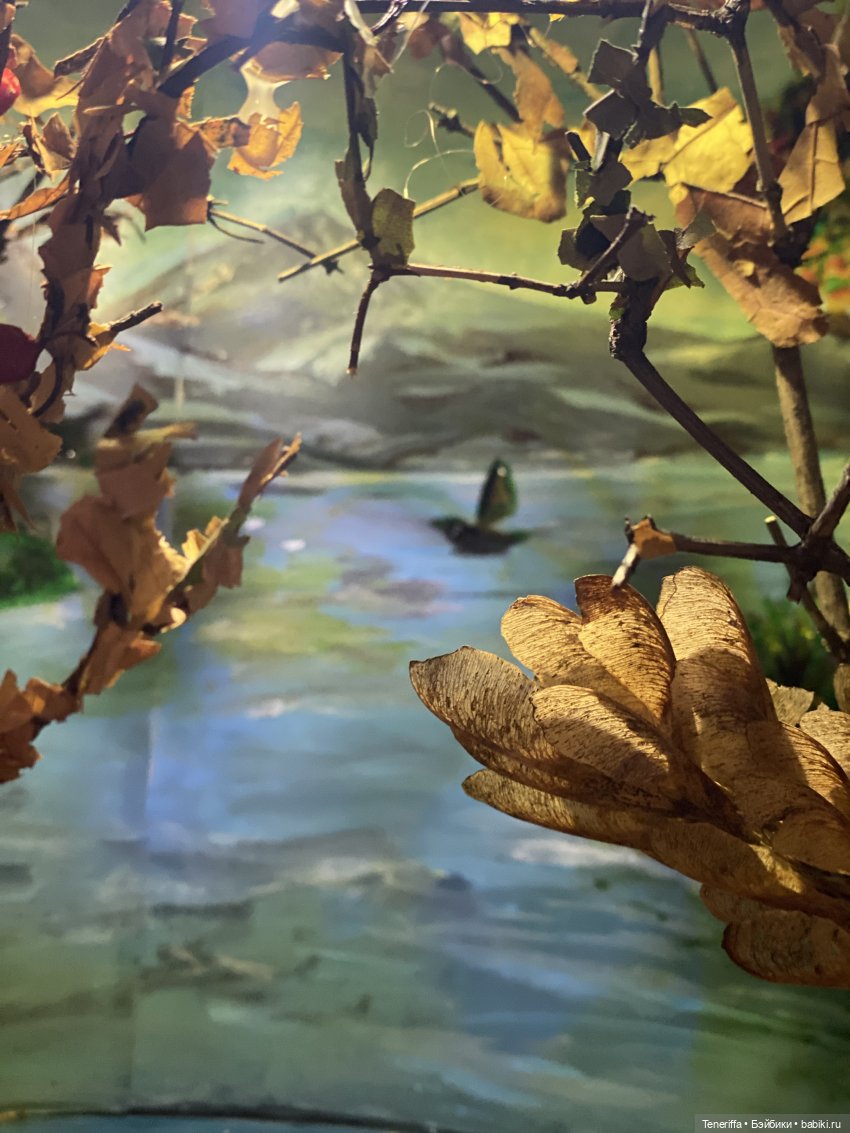 Дверца в октябрь — Румбоксы и кукольные интерьеры: фото (фото 4)